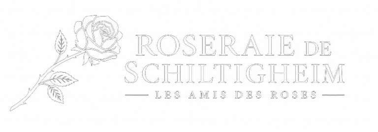 La Roseraie de Schiltigheim